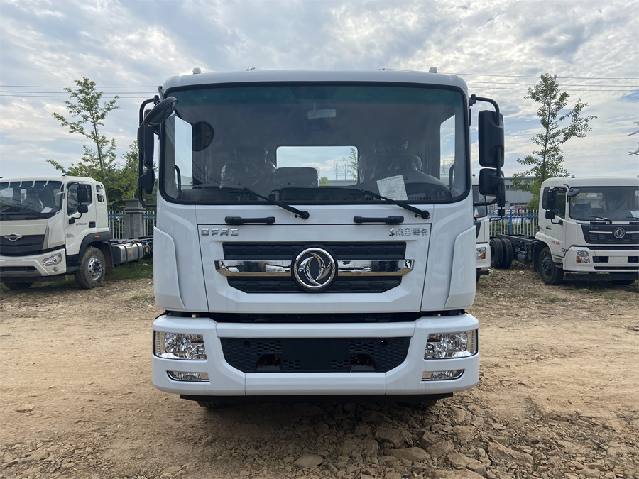 東風(fēng)D9（3950，康明斯230）國(guó)六 內(nèi)飾照片圖